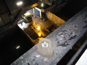 uhu-rheinhafen-karlsruhe