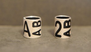 Die deutschlandweit einheitlichen Kennringe mit schwarzen Zeichen auf aluminiumfarbenem Hintergrund: der erste Buchstabe (links) oder Zahl (NRW, rechts) steht aufrecht lesbar über die gesamte Ringhöhe (für die Wanderfalken aus Baden-Württemberg wird dies zunächst ein 'P' sein), die beiden folgenden Buchstaben sind um 90° Grad gedreht und von unten nach oben abzulesen. Die Kombination ist zweimal auf dem Ring zu sehen.